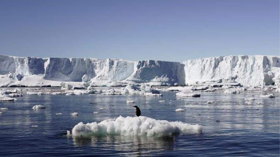 Antarctica logged record temperature of 18.3 degrees Celsius, says UN agency report