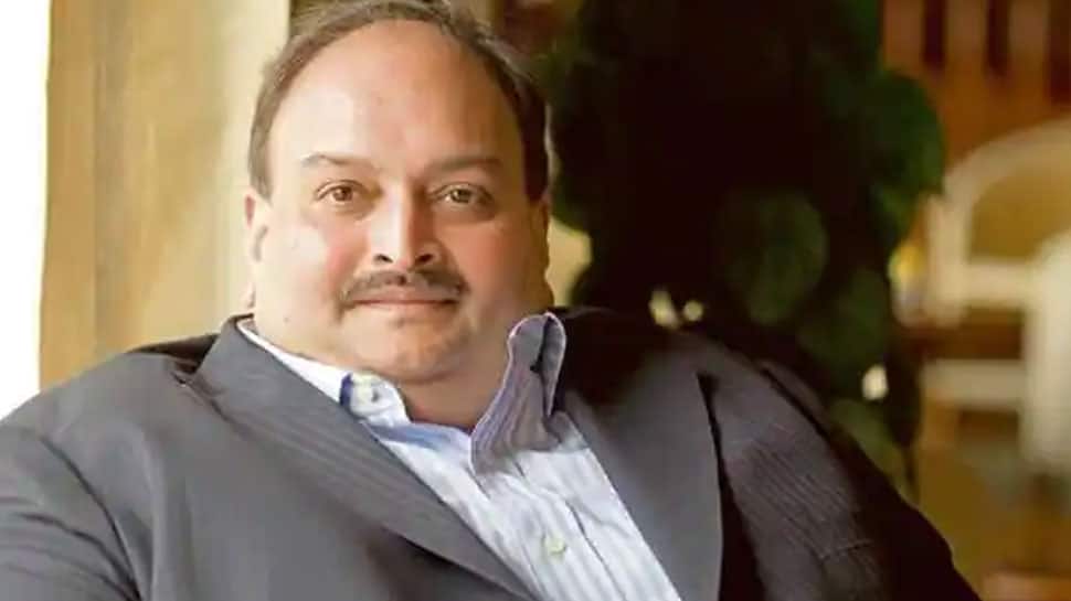 &#039;Total nonsense&#039;: Dominica PM  Roosevelt Skerrit on claims that his govt was involved in Mehul Choksi&#039;s abduction