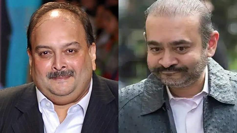 Closely monitoring legal proceedings against Mehul Choksi and Nirav Modi, says India