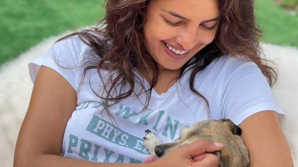 Priyanka Chopra shares glimpse of her with pet pup