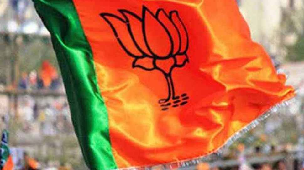 UP Zila Panchayat Chairperson Election BJP Registers Thumping Victory 