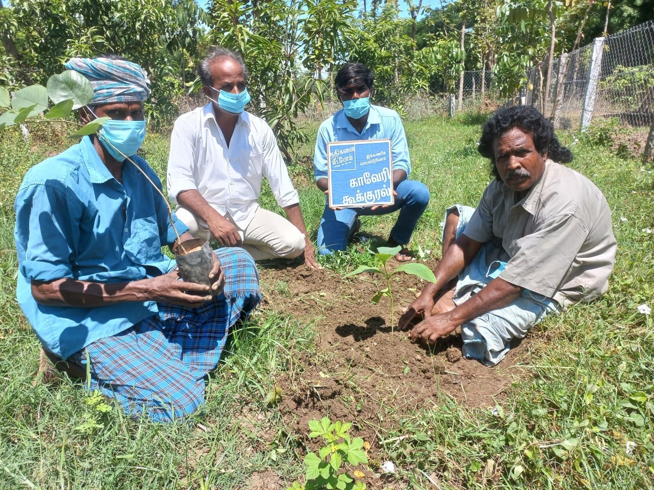 Farmers to plant 25,000 saplings across Tamil Nadu for ‘Van Mahotsav’