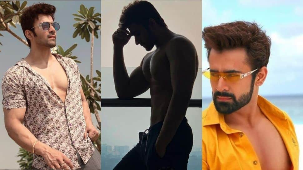 Happy Birthday Pearl V Puri! 'Bepanah Pyaar’ actor trends on Twitter