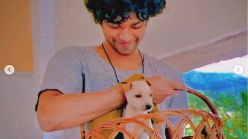 Babil Khan posts pictures of his new pup