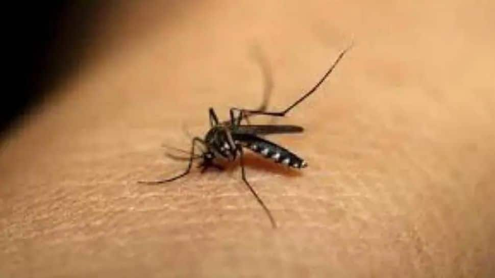 Zika virus not cause of concern for public right now: Health expert after Kerala reports 14 cases