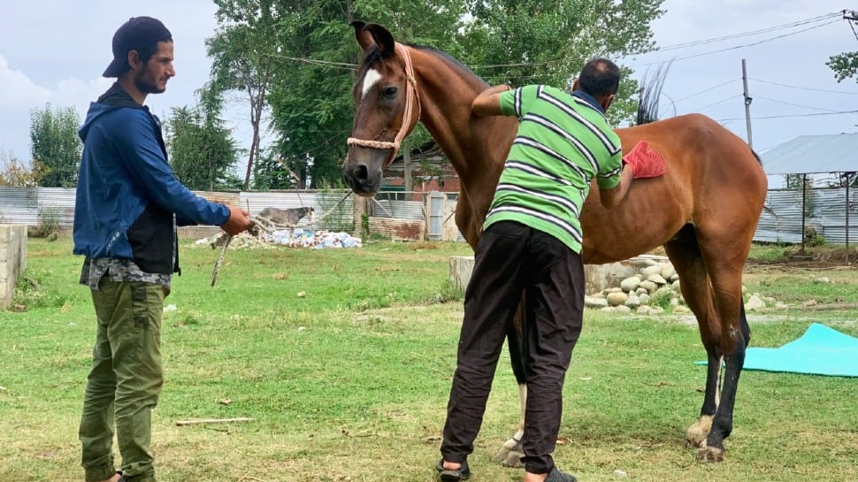 First equestrian school opens in Jammu and Kashmir