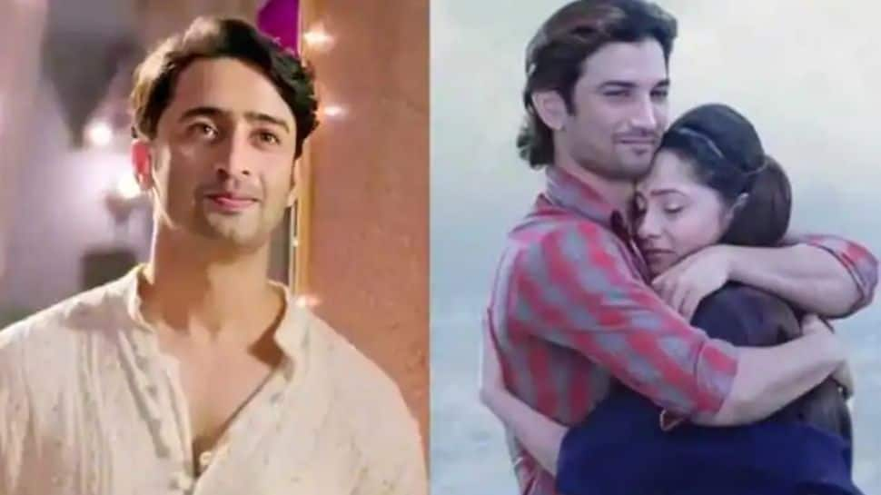 &#039;Mujhe accept nahi karenge&#039;: Shaheer Sheikh was doubtful about replacing Sushant Singh Rajput in Pavitra Rishta 2