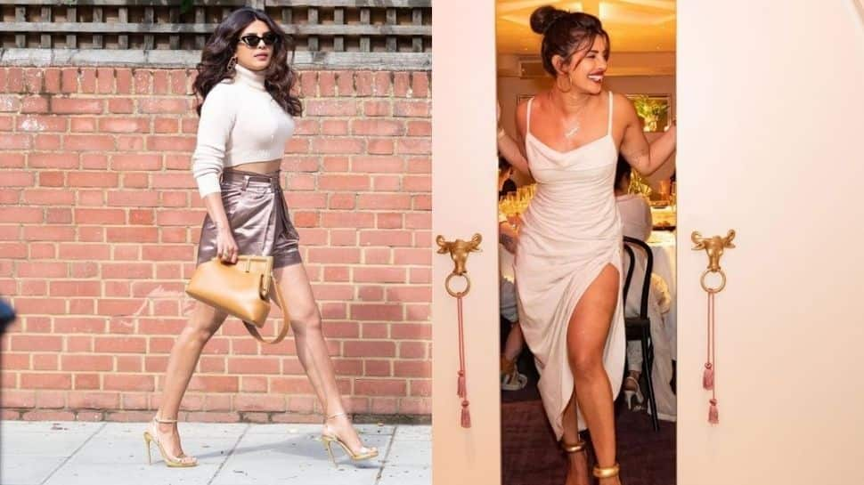 Birthday girl Priyanka Chopra&#039;s sensational Instagram looks which prove she&#039;s an ultimate global star!