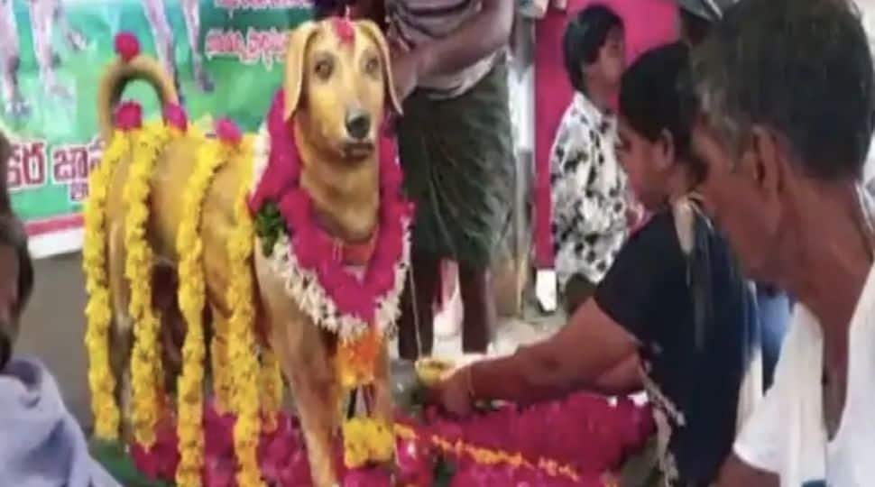 Dog love: Man installs bronze statue of his pet on anniversary, check viral pictures