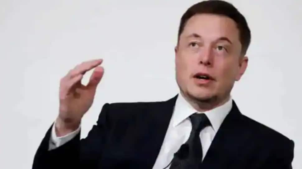 Elon Musk cites THIS reason behind the delay in Tesla&#039;s India launch 