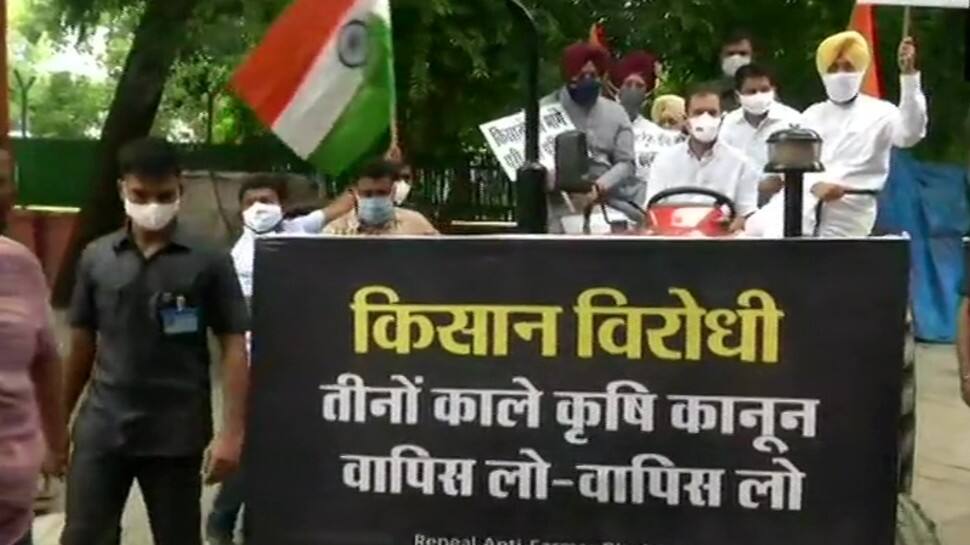 Rahul Gandhi drove a tractor to the Parliament to protest the farm laws