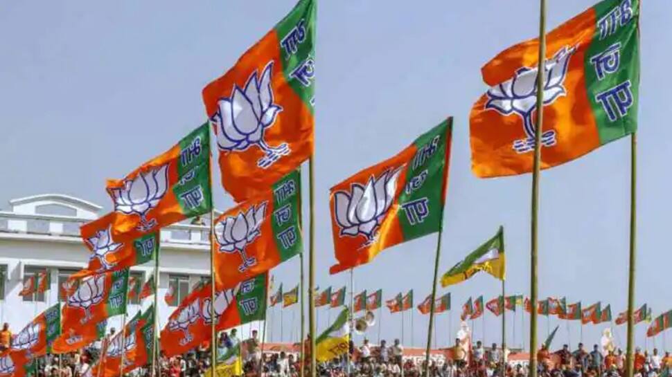 Mission UP: Connect with voters ahead of 2022 Assembly polls, BJP tells its MPs