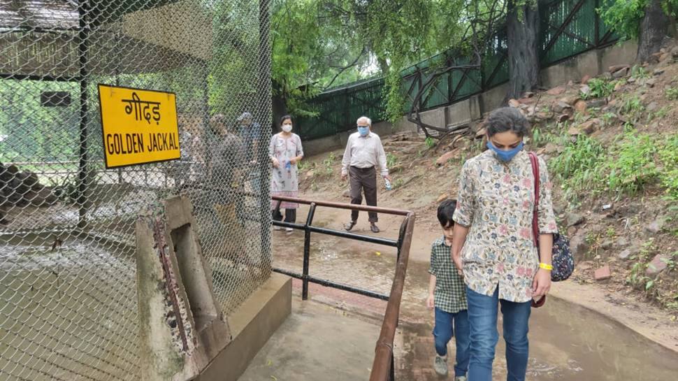 Masks mandatory at Delhi zoo