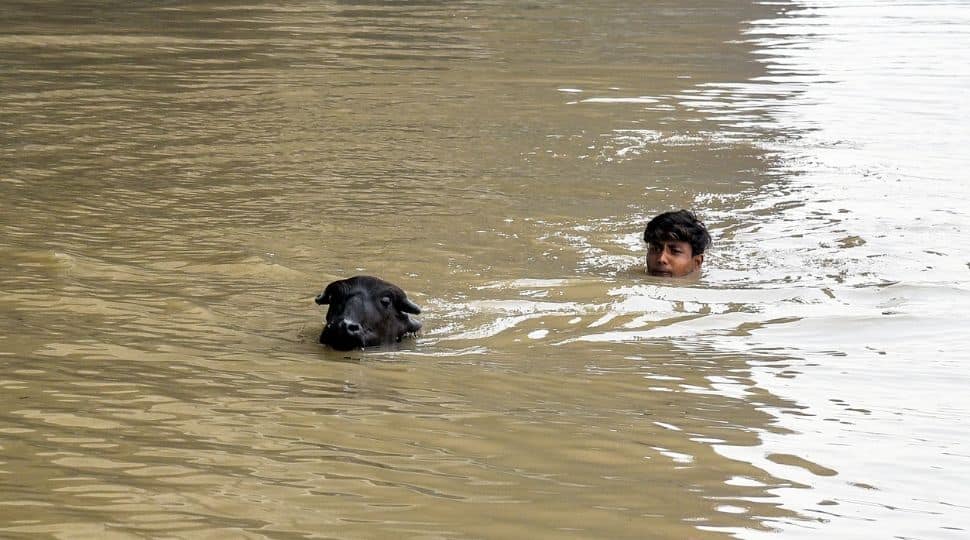 Yamuna water rises above 'warning' mark, extensive waterlogging, traffic congestion in Delhi