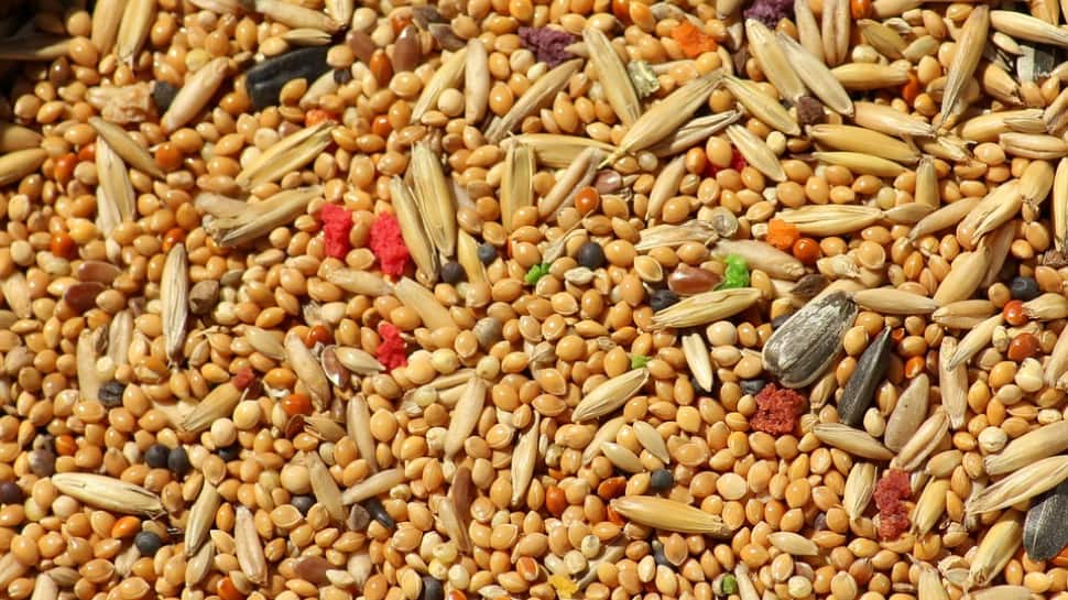 Millet-based diet can lower risk of type 2 diabetes: Study