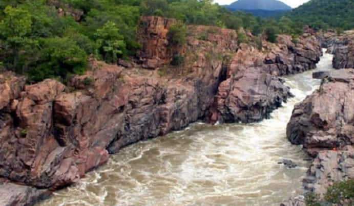 Mekedatu dam row: Tamil Nadu BJP workers protest Karnataka&#039;s move to build reservoir on Cauvery river 