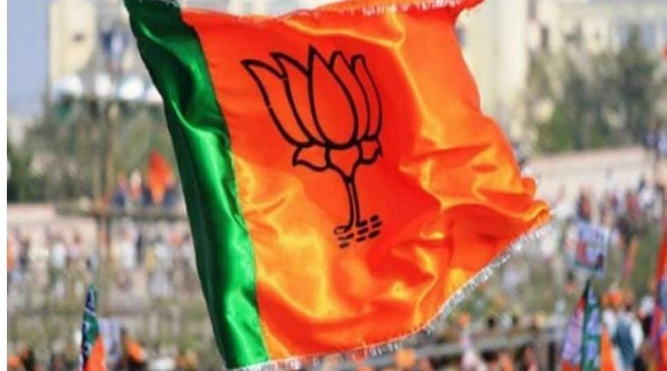 UP Polls: BJP to hold more than 100 programmes over next six months