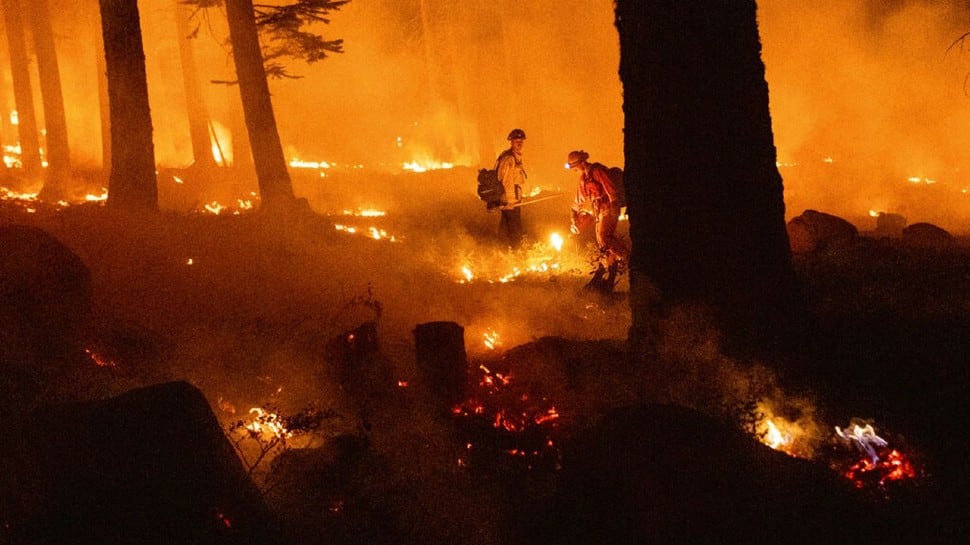 California's wildfire grows to become largest this year, take a look at shocking visuals - Vimarsana News