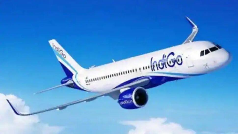 Indigo to offer free flights for one year to Neeraj Chopra