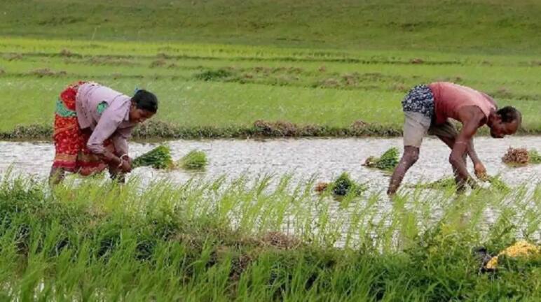 PM Kisan Samman Nidhi: Around 18 lakh farmers in Uttar Pradesh to get Rs 32,500 crore