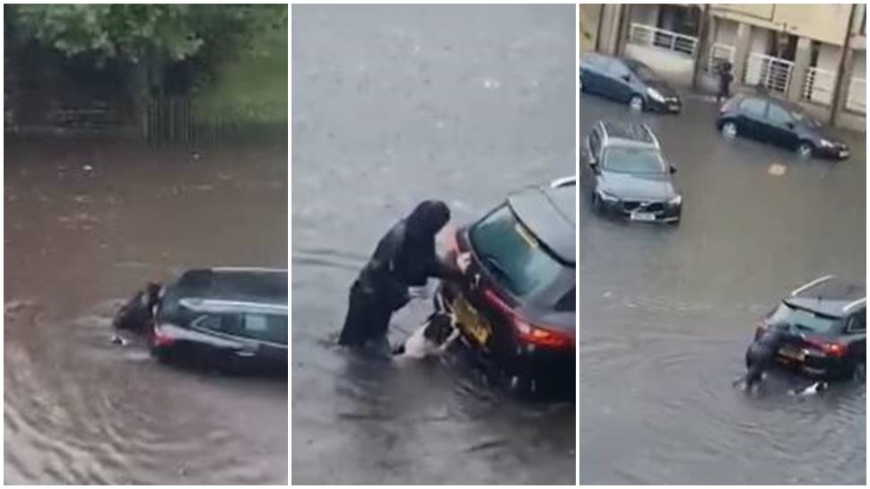 Dog helps woman push car through flooded Glasgow roads, watch AWWdorable video