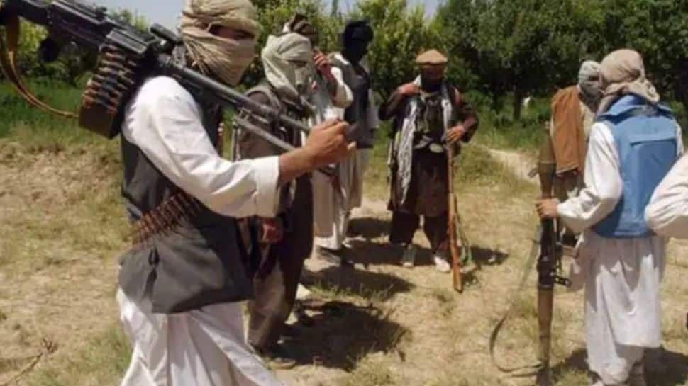 Why Afghanistan is facing wrath of Taliban; a brief history of dreaded ...