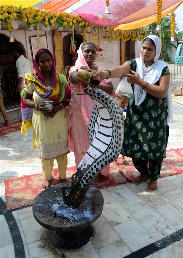 Devotees worshipped at a temple in Amritsar