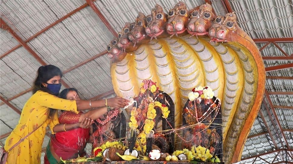 Devotees pouring milk to perform pooja at Naga statue