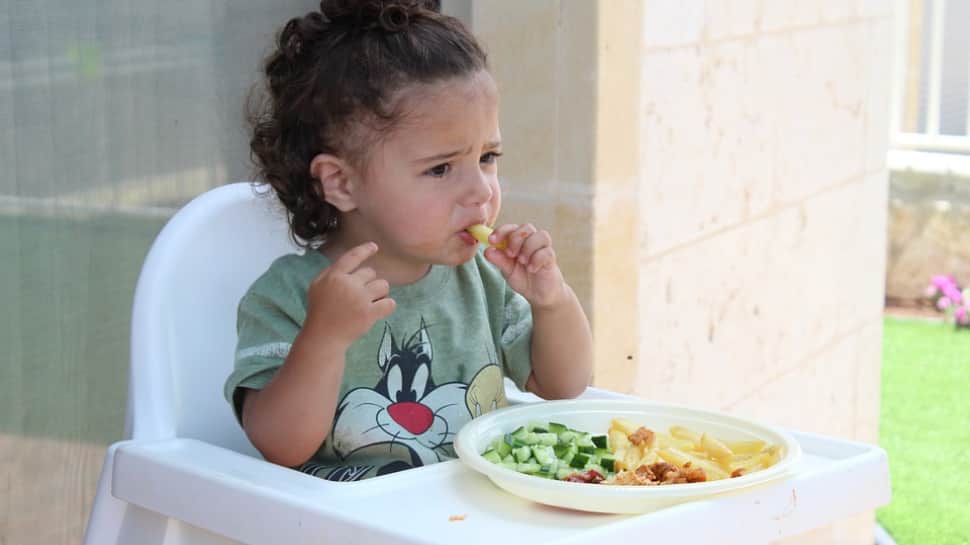 Nutrition and protein plays a substantial role in kids health