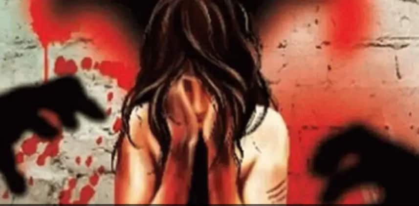 Delhi HC seeks probe report from police into rape, murder of 9-year-old girl; SIT set up