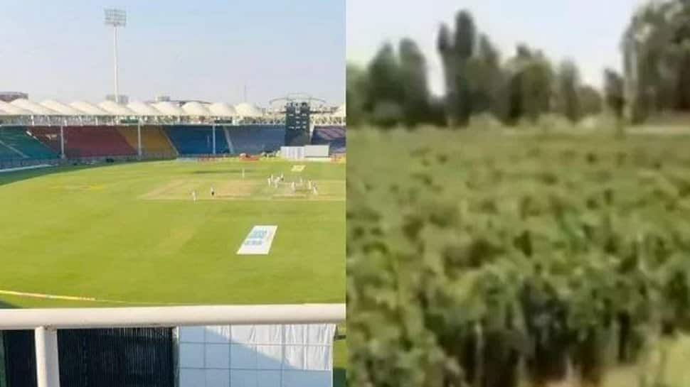 Locals turn cricket stadium in Pakistan into farmland to grow chilies, pumpkins