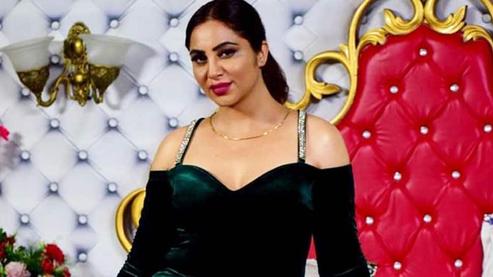 I am not from Pakistan, my roots are in Afghanistan, reveals ex Bigg Boss contestant Arshi Khan on trolls targetting her