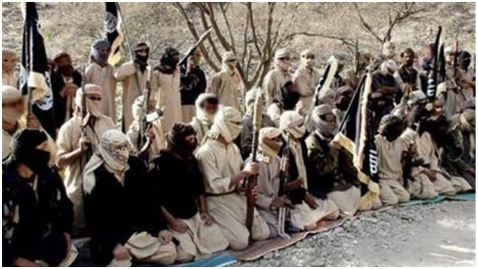 Al Qaeda-linked terrorist group praises Taliban&#039;s &#039;victory&#039; in Afghanistan