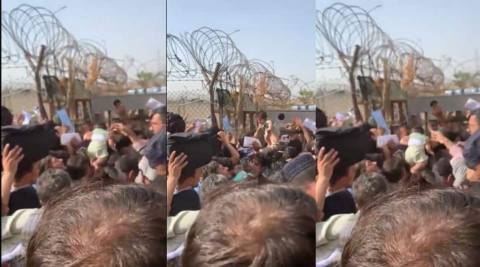 Afghan mothers throw babies over barb wire at Kabul Airport, soldiers watch in horror