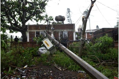 Grace uproots poles, power cables and damages trees