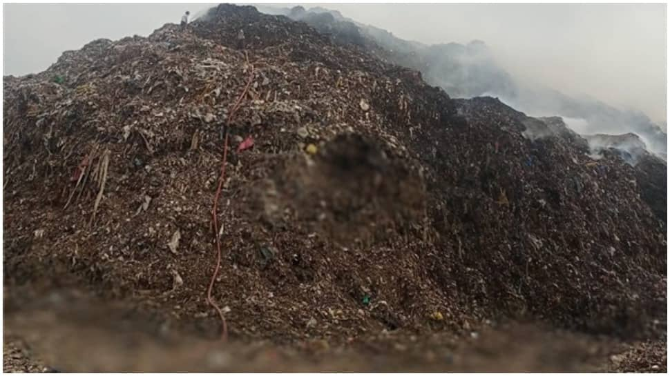 Delhi: Portion of Bhalswa landfill collapses, several shanties damaged