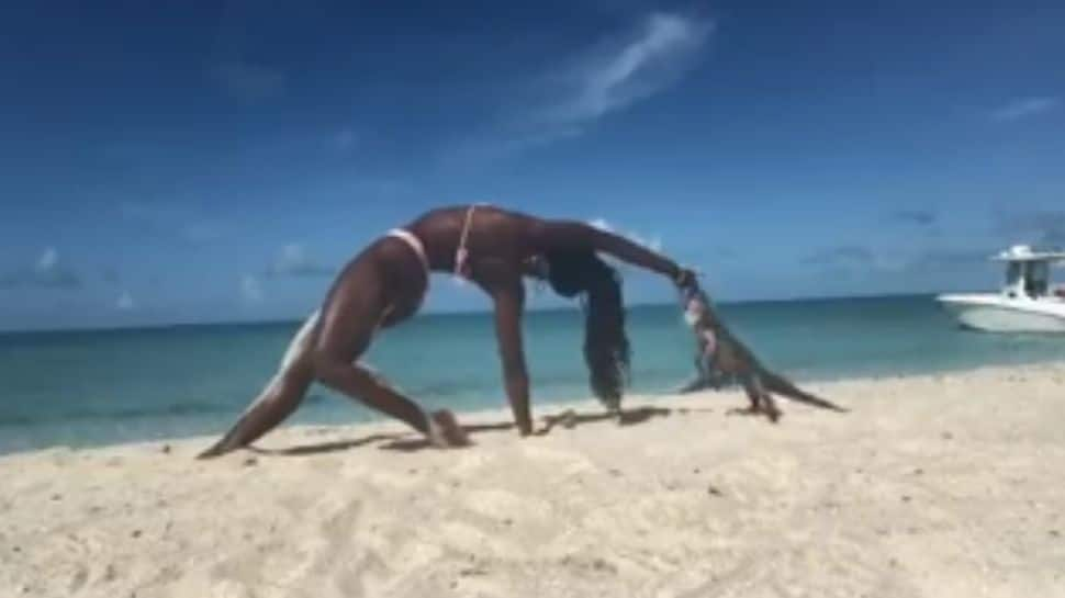 Viral video: Woman gets bitten by iguana while practicing yoga on beach - Watch