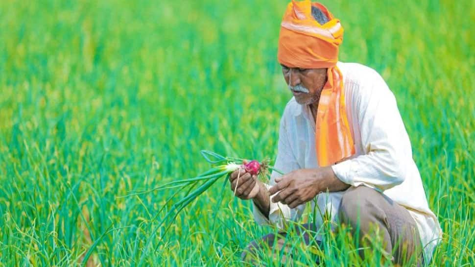 ITR filing FY 2020-21: Is Agricultural Income tax free in India? Know THESE 3 important things 