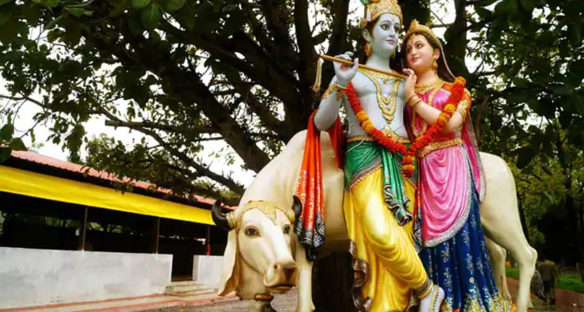 Janmashtami guidelines 