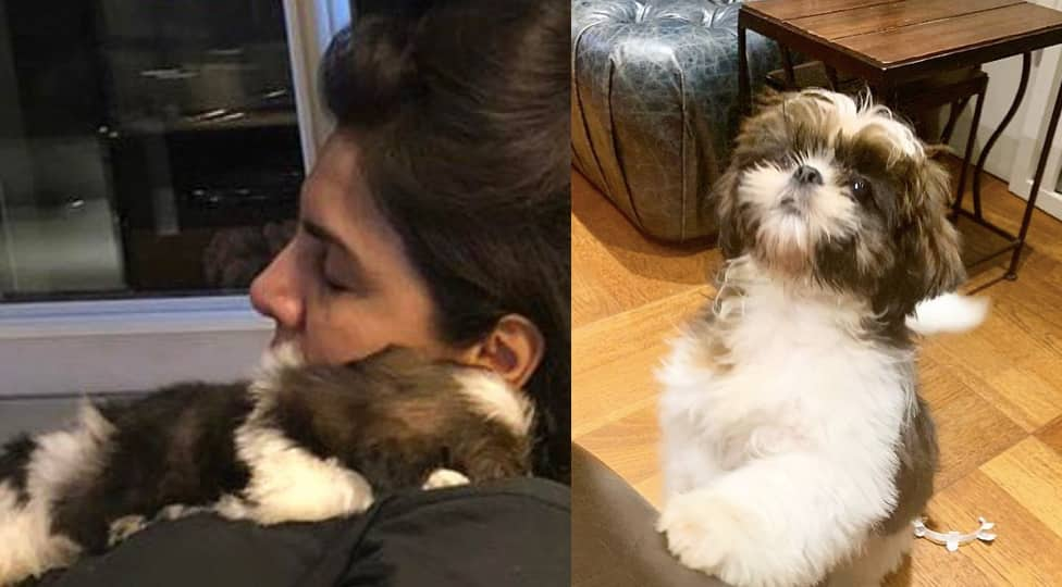 Neetu Kapoor and Doodle 