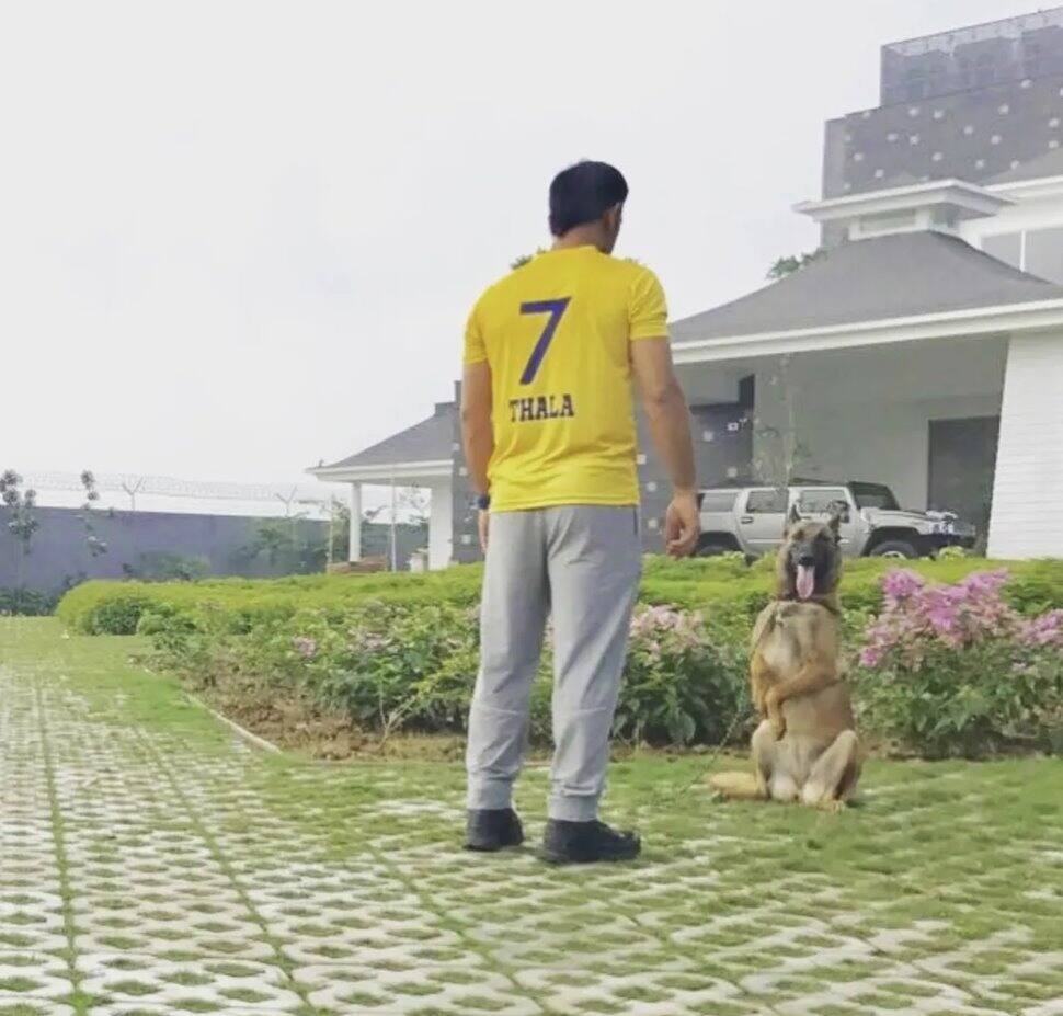 MS Dhoni and his pet dog