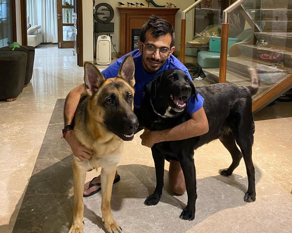 Yuzvendra Chahal with his pet dogs Groot and Scooty