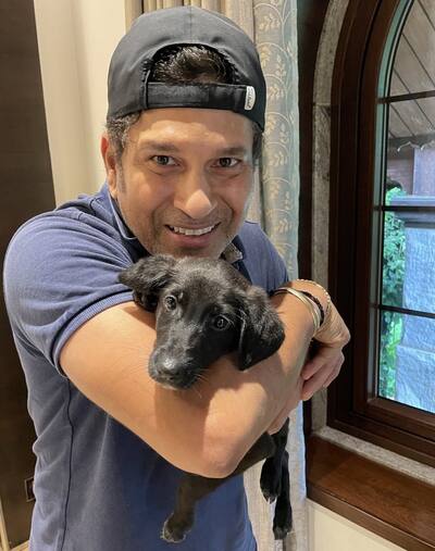 Sachin Tendulkar adopts Spike