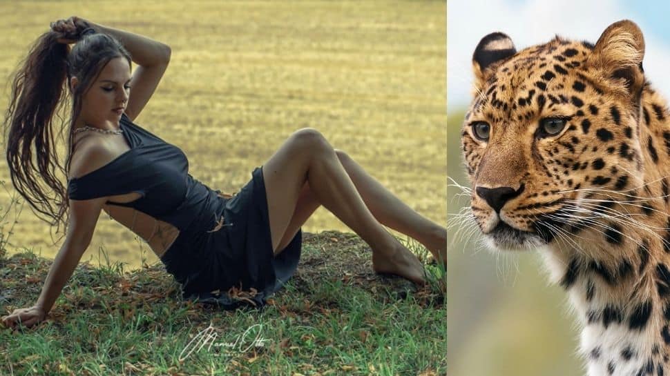 Model gets attacked by leopard in Germany