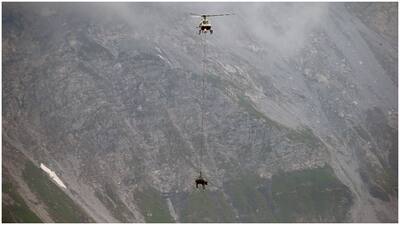 Injured cows were transported through helicopters in Switzerland 