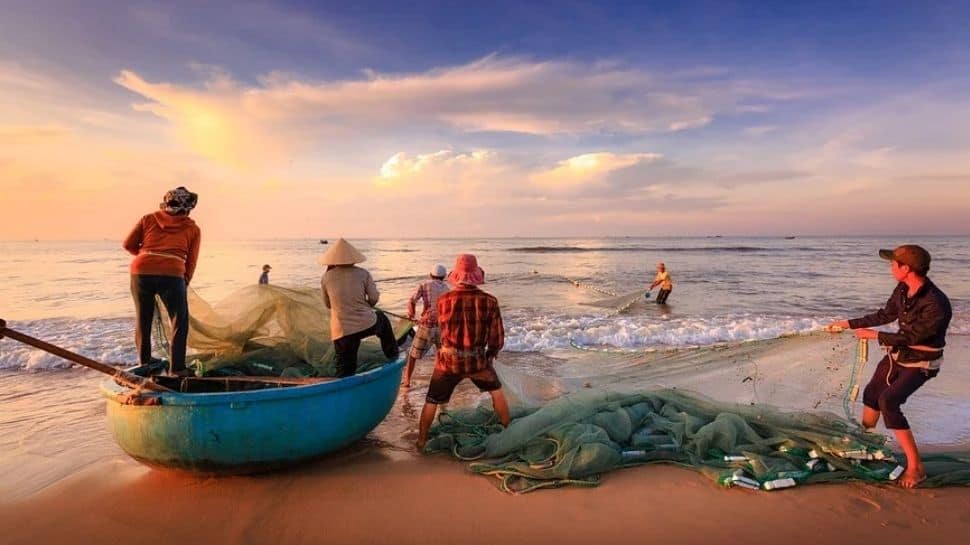 A prized catch! Palghar fishermen sell 157 Ghol fish for a whopping Rs 1.33 crore