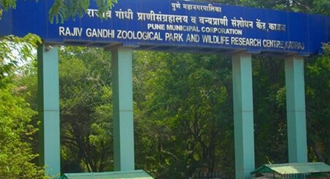 Assam to remove Rajiv Gandhi&#039;s name from Tiger Reserve, rename it as Orang National Park