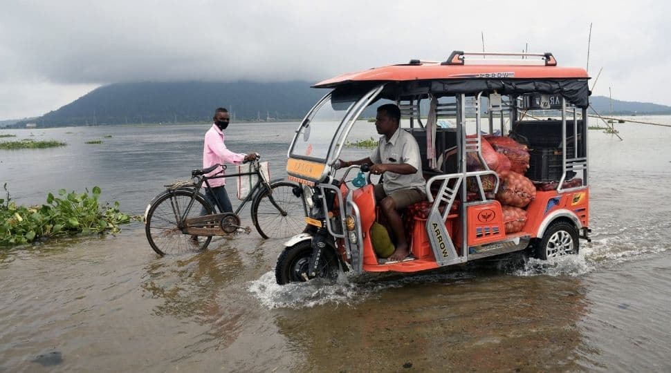 As many as 110 camps of the 223 anti-poaching camps are inundated. Due to flood-related incidents, nine hog deer, two swamp deers one each cap langur and python have died so far, while three animals have been rescued till now.