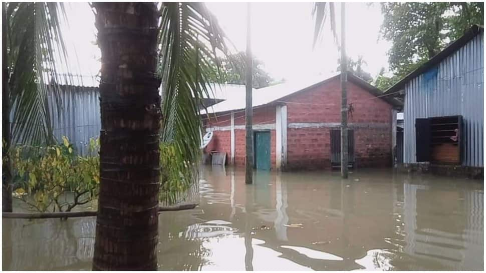 Flood situation in Assam improves as Brahmaputra water level goes down