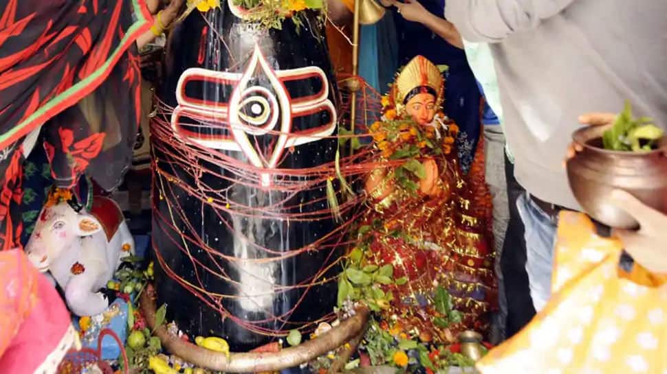Explained: Why women celebrate monsoon festival Hartalika Teej with much fervour! Explained: Why women celebrate monsoon festival Hartalika Teej with much fervour!